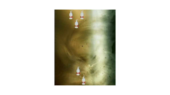 Portfolio artwork 31 by Tracy Jones